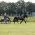 Welsh_Cob_Ceres_Commando - Enkelspan_2011